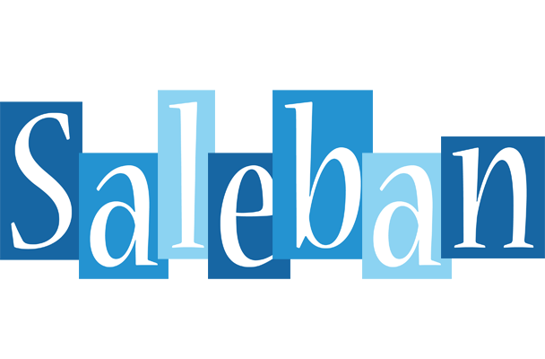 Saleban winter logo