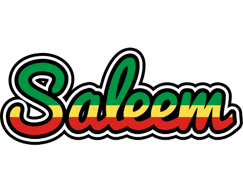 Saleem african logo