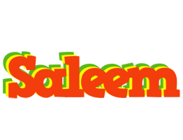 Saleem bbq logo