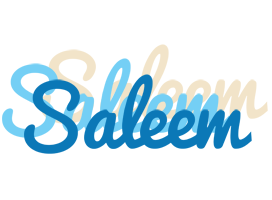 Saleem breeze logo