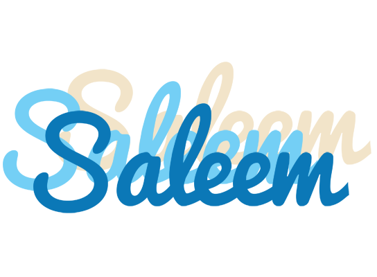 Saleem breeze logo