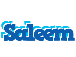 Saleem business logo