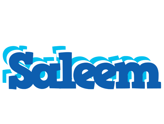 Saleem business logo