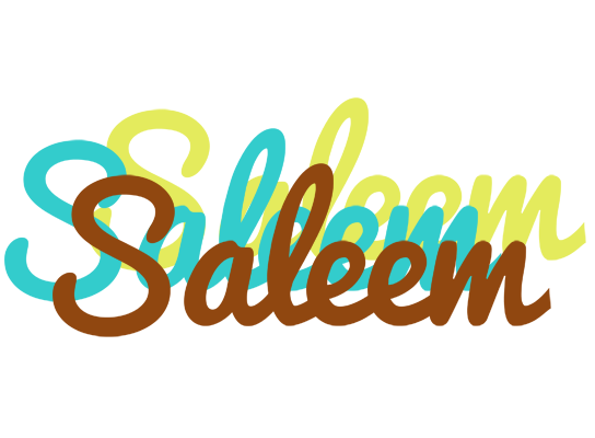 Saleem cupcake logo