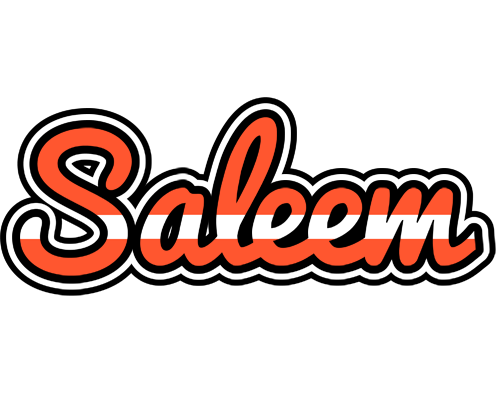 Saleem denmark logo