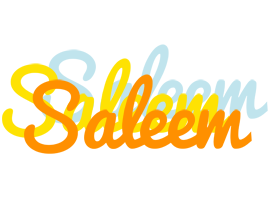 Saleem energy logo
