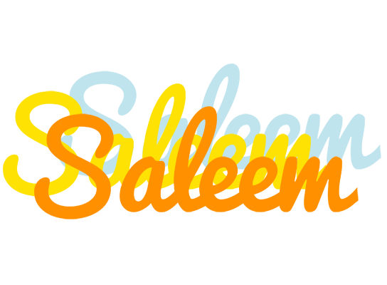 Saleem energy logo