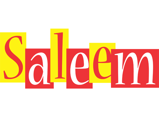 Saleem errors logo
