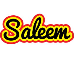 Saleem flaming logo