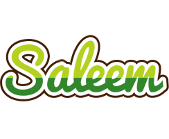 Saleem golfing logo