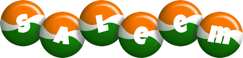 Saleem india logo