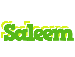 Saleem picnic logo