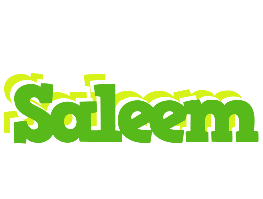 Saleem picnic logo