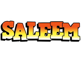 Saleem sunset logo