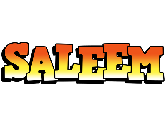 Saleem sunset logo