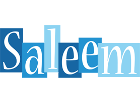 Saleem winter logo