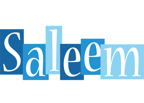Saleem winter logo
