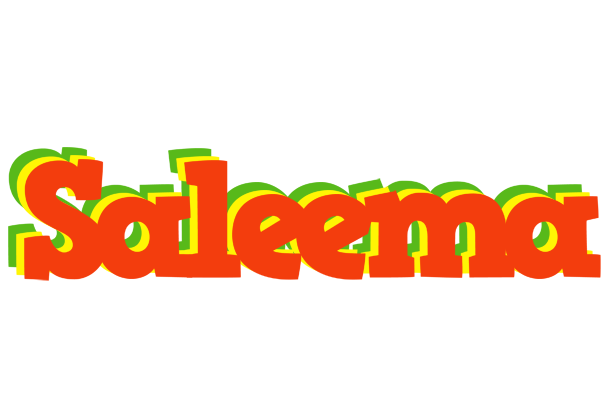 Saleema bbq logo
