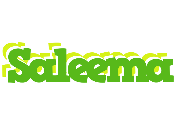 Saleema picnic logo