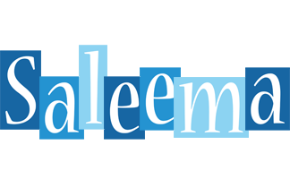 Saleema winter logo