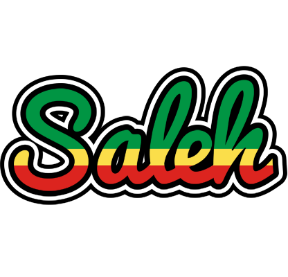 Saleh african logo