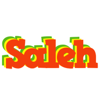 Saleh bbq logo