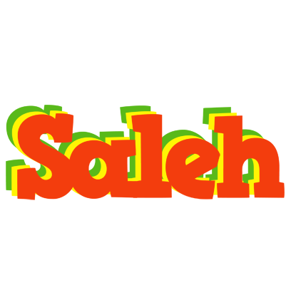 Saleh bbq logo