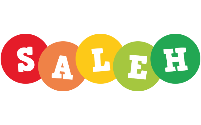 Saleh boogie logo