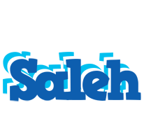 Saleh business logo