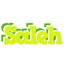 Saleh citrus logo