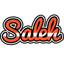 Saleh denmark logo