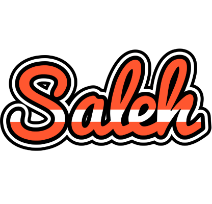 Saleh denmark logo