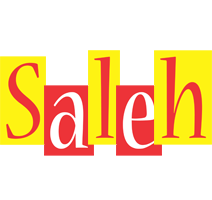 Saleh errors logo