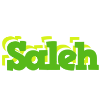 Saleh picnic logo