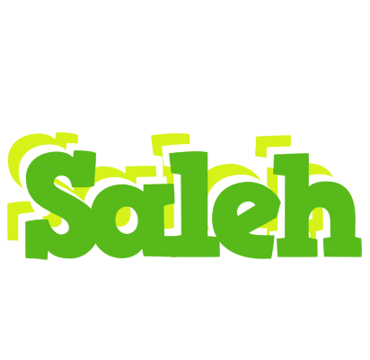 Saleh picnic logo