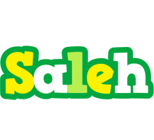 Saleh soccer logo