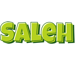 Saleh summer logo