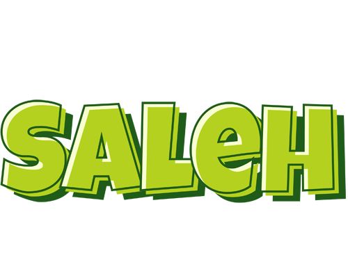 Saleh summer logo