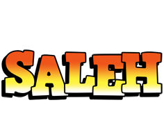 Saleh sunset logo