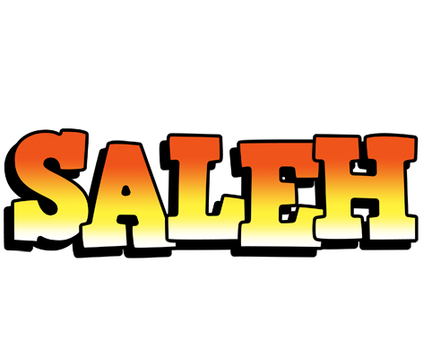 Saleh sunset logo