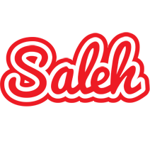 Saleh sunshine logo