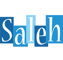 Saleh winter logo