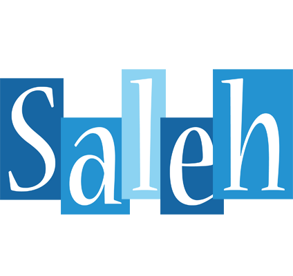 Saleh winter logo