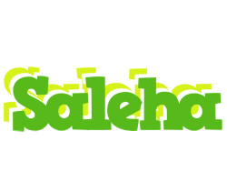 Saleha picnic logo