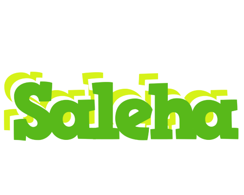 Saleha picnic logo