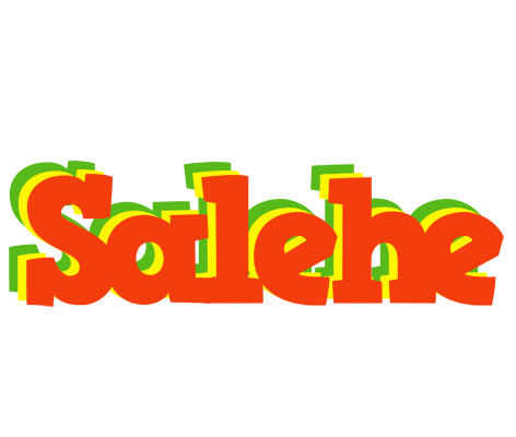 Salehe bbq logo