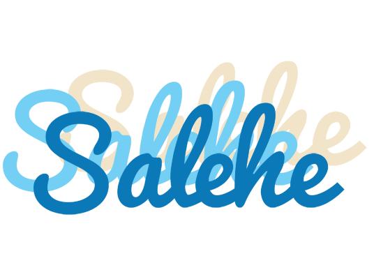 Salehe breeze logo