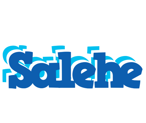 Salehe business logo