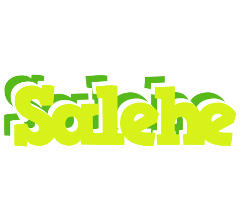 Salehe citrus logo