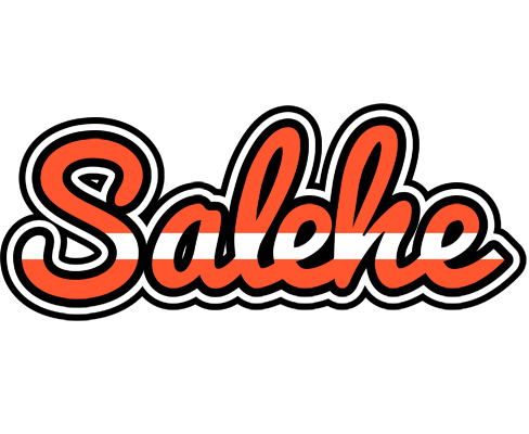 Salehe denmark logo